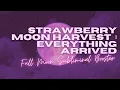The Strawberry Moon Chose You First Full Moon of Summer Activation