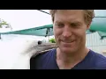 One Of The Rarest Birds On Earth Is Struggling To Fly | Bondi Vet