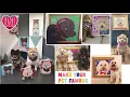 About Rose Hill Designs