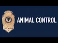 About Animal Control