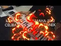 Bousmaha Mohamed © Célibataire wela khatbinek - سيليباتير ولا خاطبينك • instru by kako rhm