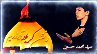 نوحه افغانی رفتن کربلا آرزویم با صدای کربلایی سید محمد حسینی 