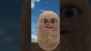 Антошка Картошка уронили мишку на пол картошка антошка юмор 