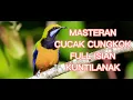 Download Lagu MASTERAN CUNGKOK FULL KUNTIL ANAK JERNIH....