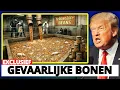 Download Lagu WAARSCHUWING! 7 merken ingeblikte bonen die Amerika moet terugroepen en tot elke prijs vernietigen!