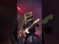 Lagu Feline Spirit – Cat Rocks Nirvana’s Stage #cat #music #nirvana #funny #animals #trending #short