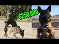 Download Lagu This is What a $250,000 Elite Protection Dog Looks like!