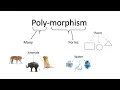 Polymorphism in OOPs Formation of Methods Java Tutorial Eclipse in