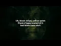 Wiz Khalifa - Black and Yellow (LYRICS)