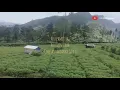 Aku pamit ya, aku menyerah. Puisi by coretanharianku