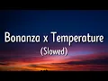 Bananza [belly dancer] x temperature (slowed/Lyrics) — tiktok version