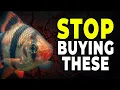 WORST to BEST Ranked Aquarium Fish to Buy at PetSmart Petco