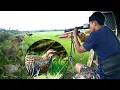 Download Lagu Sakin kuatnya burung sintarnya sampai salto salto dihantam mimis SLUG 13 GRAIND diameter 4,5