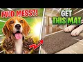 This Doormat Stops Muddy Paw Prints IM HOME Washable Dog Mat