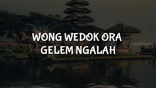 Download WONG WEDOK ORA GELEM NGALAH (LIRIK) MP3