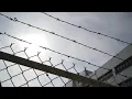 16 inmates hospitalized after lightning strike at Ohio prison WHIO TV