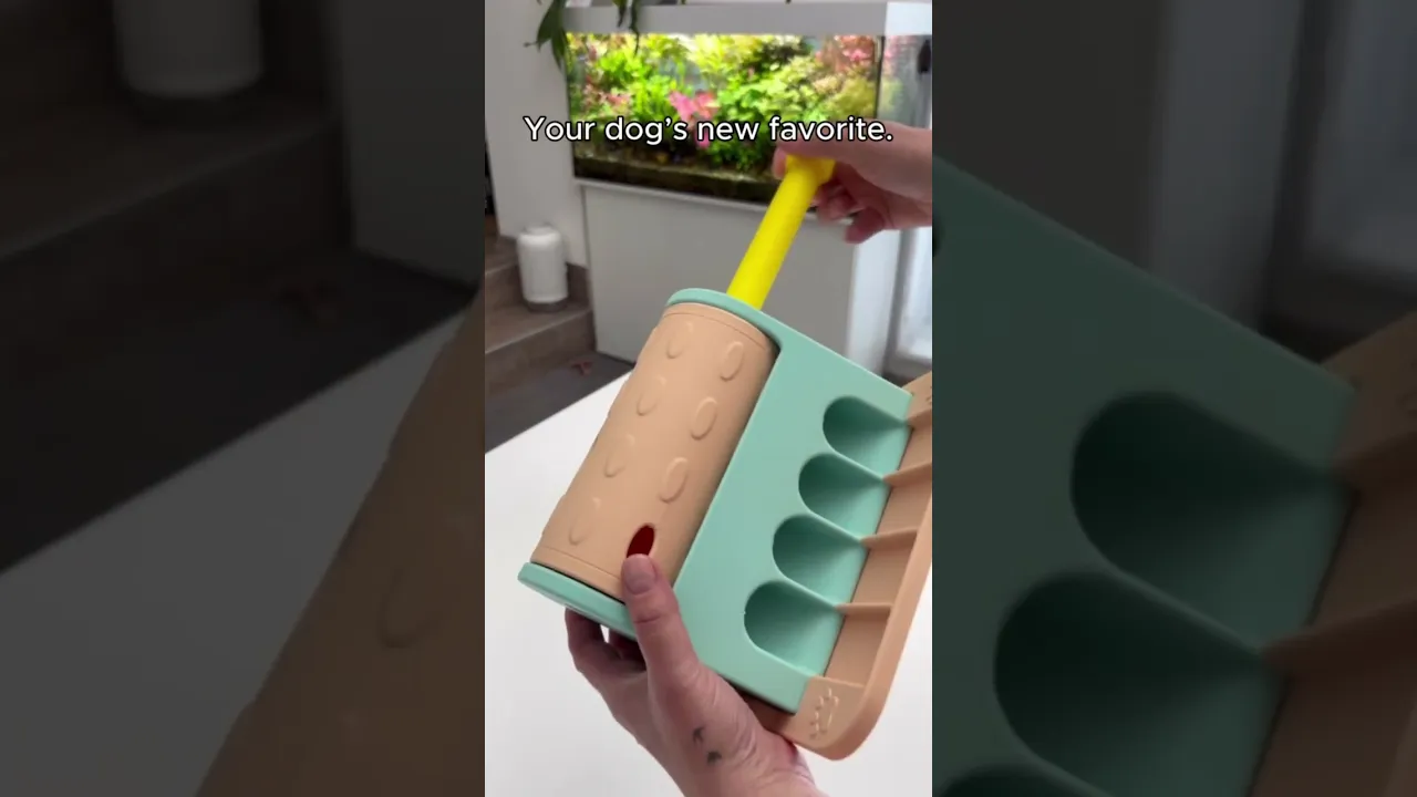 PAWSPIN TREAT ROLLER video thumbnail