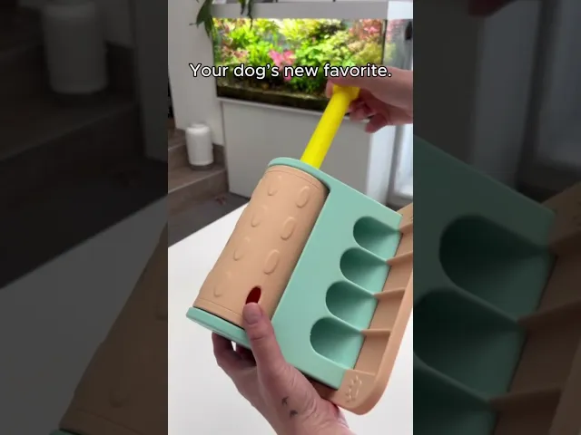 PAWSPIN TREAT ROLLER video thumbnail