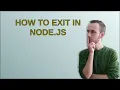 How to exit in Node js