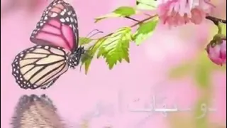 معشوقه به سامان شد 