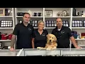 Palmetto Coin Shop Florida LCS as seen on Yankee Stacking gold silver buy or sell precious metals