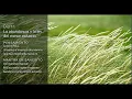 Download Lagu Deepak Chopra Día 11 Reto de Meditación Creando Abundancia
