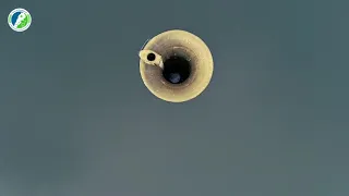 بروحي تلك الأرض ما أطيب الر بى و ما أحسن المصطاف و المتربع 