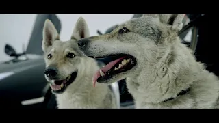 Massaka Monstar361 ANDERE LIGA OFFICIAL HD Prod Dhaone 