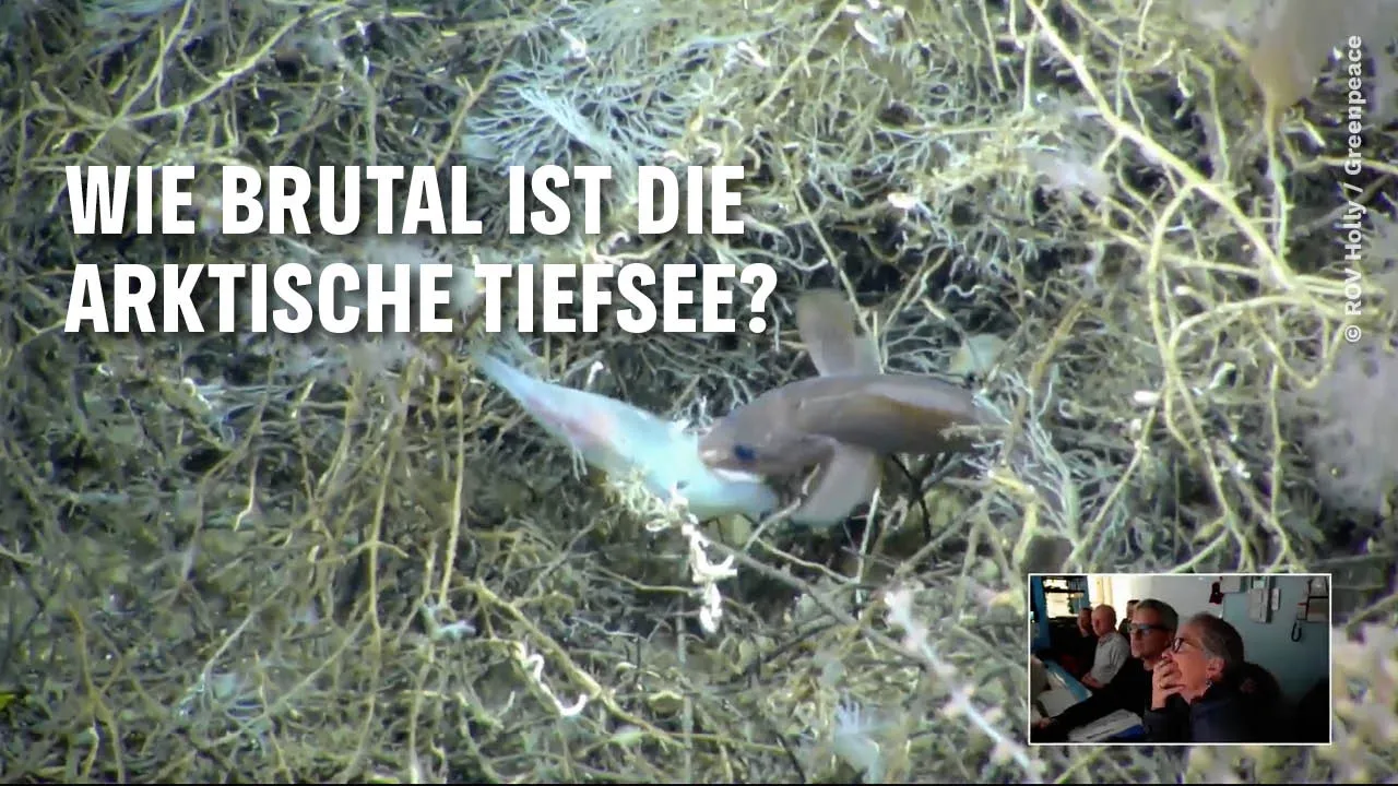 Greenpeace Deutschland — Greenpeace Deep Arctic Expedition — Exploring the Arctic Seabed (YouTube video ad)