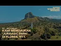 Lagu Ekspedisi Wonderland Indonesia (Eps.  21) Keajaiban Pulau Nuca Molas