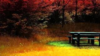 بلال الكبيسي خالص الشوق 