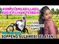 Download Lagu Kumpulan Lagu lagu bugis pilihan terbaik enak di putar sambil  kerja ,perjalanan dan bersantai sappo