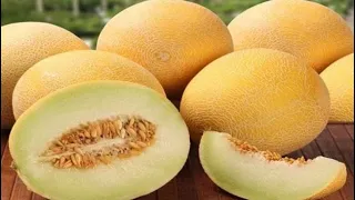 البطيخ الأصفر كنز صحي لا يُقدّر بثمن… اكتشف السبب!