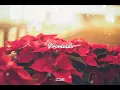 Siddhartha - El Poema y La Caja (letra)