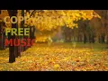 AUDIOZ FREE MUSIC - RELAXING CLIP