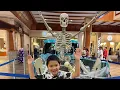 Animation Magic Pearlridge Shopping Center
