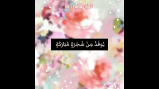 الله نور السماوات والأرض مثل نوره كمشكاة فيها مصباح تلاوة مولانا كورتش 