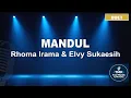 Download Lagu Mandul - Rhoma Irama \u0026 Elvy Sukaesih | Karaoke Duet Dangdut Koplo