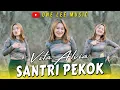 Download Lagu Vita Alvia - Santri Pekok (DJ Remix)