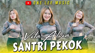 vita alvia santri pekok dj remix 