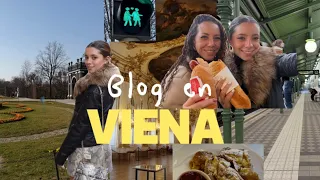 Nos perdimos en otro país!!! (Blog en Viena)