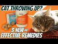 Cat Throwing Up 3 Fast Acting Home Remedies