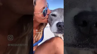 My biggest fear ❤️ #shorts #dogmom #sailing