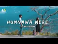 Lagu Humnawa Mere(lofi+slowed+reverb)