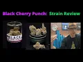 Black Cherry Punch Strain Review