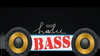 Download Halu - Feby Putri [Bass Boosted] MP3