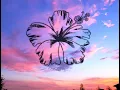 Sena Kana - Up (feat. Wiz Khalifa Sheppard) (Dzeko Remix) 1 Hour Loop