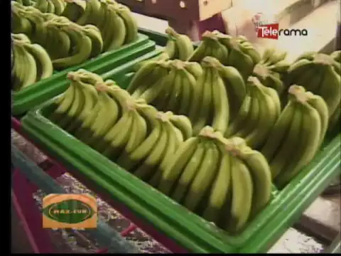 Ecuador Agropecuario 26-09-2016