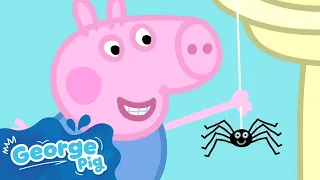 George Finds A SPIDER He Scares Peppa Peppa Pig Full Episodes