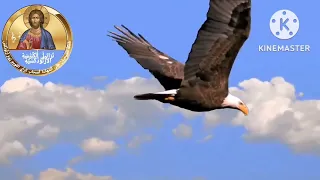 رتلو للرب ترتيلة جديدة دندنها